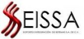 Soporte e Integración de Sistemas
